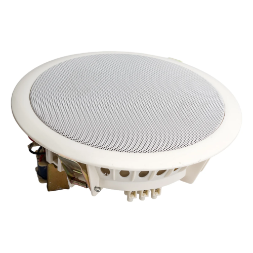 Громкоговоритель Tantos TSo-PW10a (00-00026419) потолочный 10Вт белый