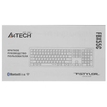 Клавиатура беспроводная A4Tech Fstyler FBX55C