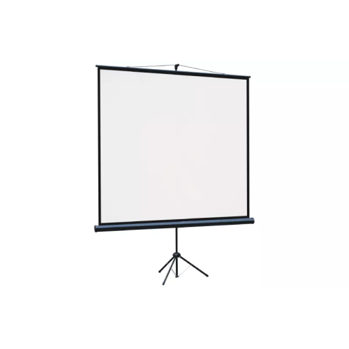 Экран Lumien Eco View (LEV-100108) White