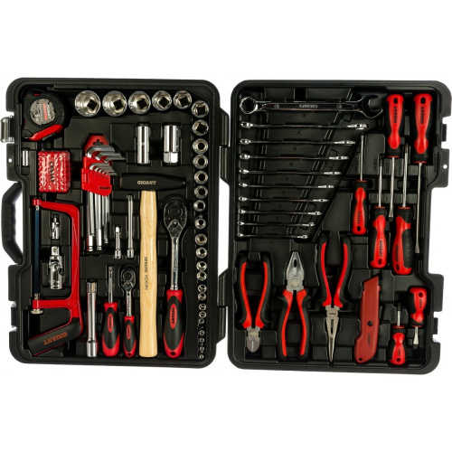 Набор инструментов Gigant Professional GPS 101 1/2" и 1/4" 101 предмет