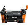 Станок рейсмусовый Gigant TPJ-320-1800HH
